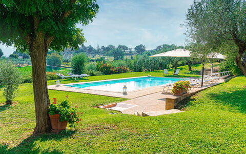 Villa di Morice 14: Piscina, Jardín, Recurso, Césped, Inmuebles, Hacienda, Eco Hotel, Paisajismo, Sombra, Patio Interior