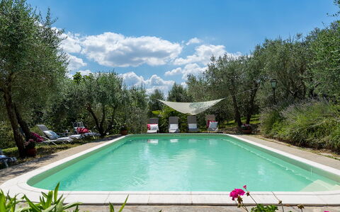 Villa Fiorentini 10: Piscina, Mueble Para Exteriores, Jardín, Patio Interior, Silla, Yarda, Paisajismo, Recurso, Sombra, Hacienda
