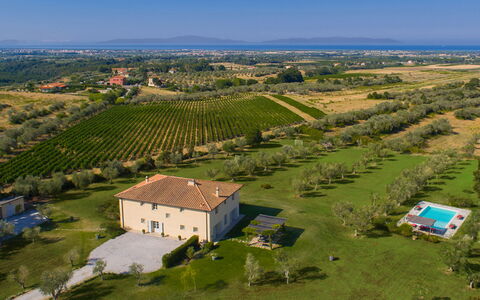 Villa Il Meluccio 12: Hierba, Llanura, Paisaje, Pradera, Área Rural, El Terreno Del Lote, Campo, Plantación, Inmuebles, Prado