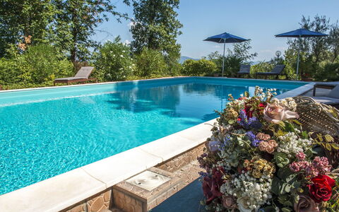 Villa Ombrosa 8: Azul, Piscina, Recurso, Eco Hotel, Ocio, Mueble Para Exteriores, Jardín, Paisajismo, Sombra, Silla