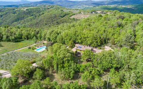 La Cerqua 8: Árbol, Entorno Natural, Vegetación, Paisaje, Área Rural, Vista Panorámica, El Terreno Del Lote, Bosque, Hill Station, Plantación