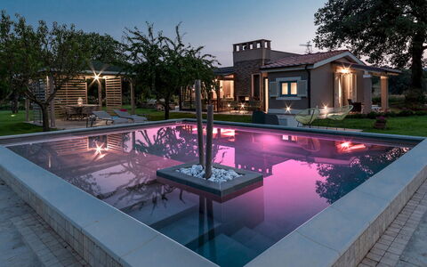 Cottage Violapo 6+2: Piscina, Barrio Residencial, Jardín, Inmuebles, Recurso, Fuente De Agua, Material Compuesto, La Iluminación Del Paisaje, Patio Interior, Paisajismo
