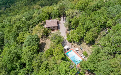 Casa Largnano 6+2: Árbol, Entorno Natural, Naturaleza, Vegetación, Paisaje, Área Rural, Casa, Bosque, Planta De La Comunidad, Cabaña