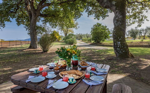 Casale le Tre Querce 8+1: Árbol, Paisaje, Mueble, Mueble Para Exteriores, Llanura, El Maletero, Mesa De Picnic, Mesa Al Aire Libre, Banco Al Aire Libre, Jardín