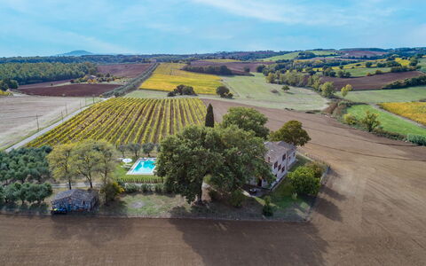 Casale le Tre Querce 8+1: Árbol, Paisaje, Barrio Residencial, Llanura, Casa, Vista Panorámica, El Terreno Del Lote, Área Rural, Casa, Asentamientos Humanos