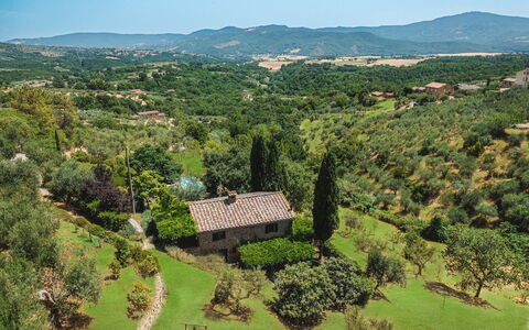 Casa di Pan 6: Árbol, Vegetación, Paisaje Natural, Paisaje, Colina, Tierras Altas, Área Rural, Arbusto, Pradera, Planta De La Comunidad