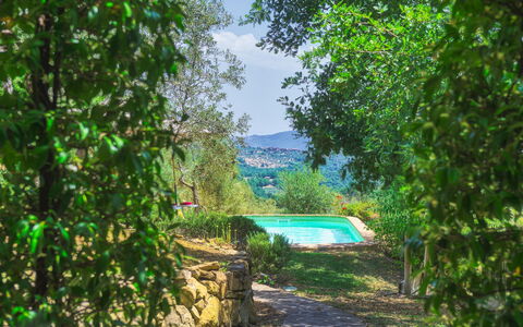 Casa di Pan 6: Arbusto, Jardín, Paisajismo, Patio Interior, Piscina, Jardín Botánico