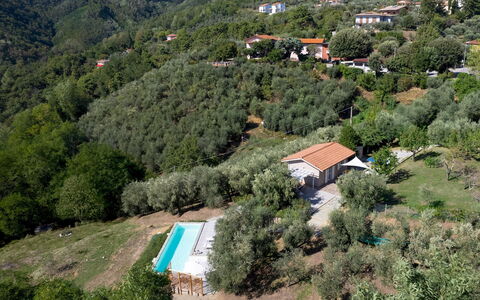Villa Cristina 3: Árbol, Paisaje, Casa, Área Rural, Hill Station, Cabaña, Inmuebles, Pendiente, Pueblo, Eco Hotel