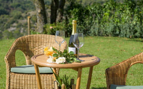 Casale Tavernelle 6: Mueble, Mueble Para Exteriores, Silla, Mesa, Mesa Al Aire Libre, Mimbre, Jardín, Manchas De Madera, Patio, Mesa De Café
