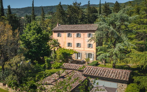 Villa Metelliano 10: Árbol, Edificio, Ventana, Casa, Arbusto, Casa, Techo, Área Rural, Inmuebles, Cabaña