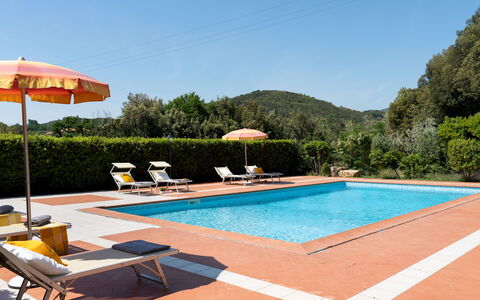Villa Nikka 6: Piscina, Recurso, Eco Hotel, Hacienda, Hotel, Sunlounger, Thermae, Villa