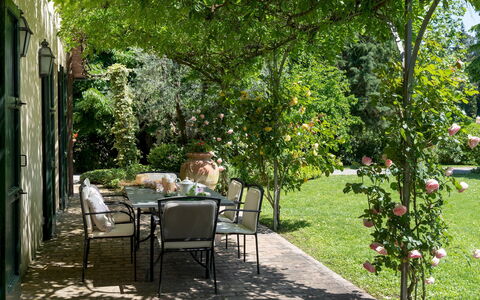 Villa Paesante 8: Verde, Hoja, Vegetación, Jardín, Arbusto, Planta De La Comunidad, Sombra, Primavera, Cobertura Del Suelo