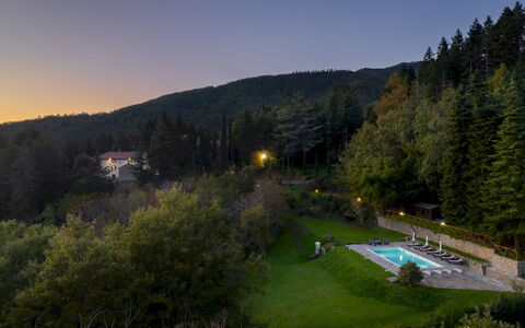 Villa la Rassinata 8: Paisaje, Bosque, Hill Station, Alerce, Selva, Paisajismo, Los Bosques De Coníferas Tropicales Y Subtropicales, Hojas Perennes