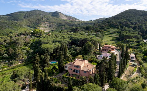 Casa del Duca 10: Árbol, Entorno Natural, Naturaleza, Vegetación, Paisaje Natural, Paisaje, Tierras Altas, Colina, Planta De La Comunidad, Hill Station
