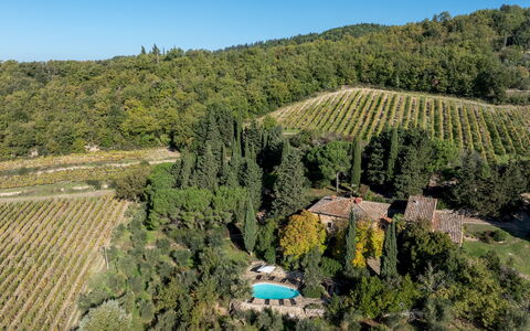 Castellare in Poggio 10: Vegetación, Paisaje, Área Rural, El Terreno Del Lote, Plantación, Inmuebles, Pueblo, Jardín, Paisajismo, Eco Hotel