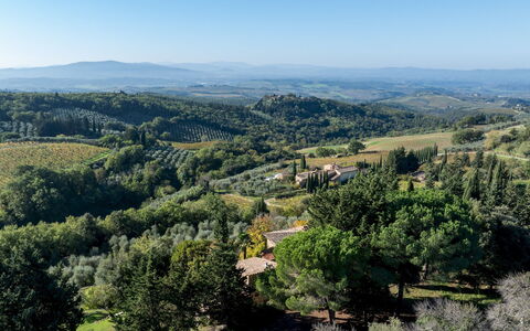 Castellare in Poggio 10: Árbol, Entorno Natural, Vegetación, Colina, Paisaje Natural, Paisaje, Tierras Altas, Ecorregión, Planta De La Comunidad, Hill Station