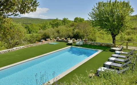 Casa la Pratellaccia 6+2: Piscina, Jardín, Ocio, Recurso, Patio Interior, Sombra, Fuente De Agua, Eco Hotel, Paisajismo, Thermae
