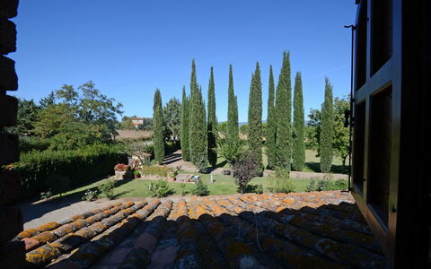 La Magia 8+2: Arbusto, Jardín, Paisajismo, Hojas Perennes, Familia De Pino, Cobertura
