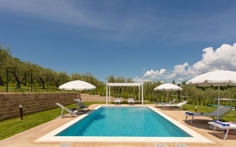 La Collina degli Ulivi 8+2: Piscina, Mueble Para Exteriores, Recurso, Sunlounger, Jardín, Eco Hotel, Thermae, Paisajismo, Inmuebles, Hacienda