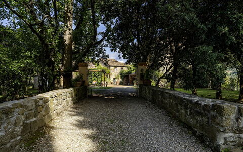 Case Novole 10: Hoja, Rama, Arbusto, Jardín, Luz De Sol, Sombra, Inmuebles, Entrada De Coches, Paisajismo, Pared De Piedra