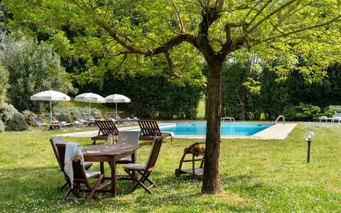 Villa delle Silerchie 10: Mueble, Mueble Para Exteriores, Mesa, Jardín, Sombra, Mesa Al Aire Libre, Césped, Silla, Patio Interior, Yarda