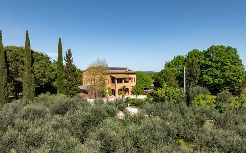Sangiovese 14: Árbol, Hoja, Vegetación, Arbusto, Paisaje, Planta De La Comunidad, El Terreno Del Lote, Casa, Área Rural