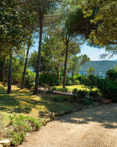Villa Il Faro 10: Hoja, Árbol, Naturaleza, Verde, Rama, Vegetación, Arbusto, Planta De La Comunidad, Jardín, El Maletero