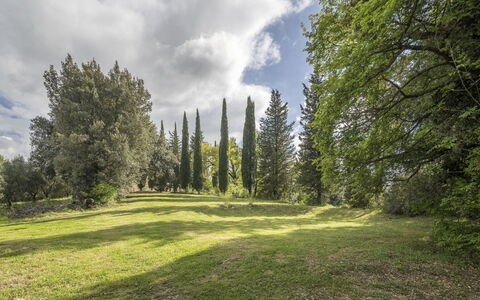 Casa Clara Pool, Casole Elsa, Monti: Hoja, Hierba, Árbol, Entorno Natural, Naturaleza, Verde, Rama, Vegetación, Paisaje Natural, Arbusto