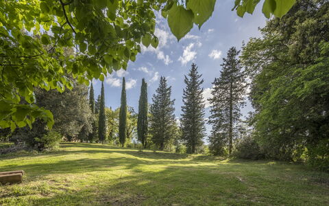 Casa Clara Pool, Casole Elsa, Monti: Hoja, Árbol, Naturaleza, Verde, Entorno Natural, Rama, Vegetación, Paisaje Natural, Arbusto, Planta De La Comunidad