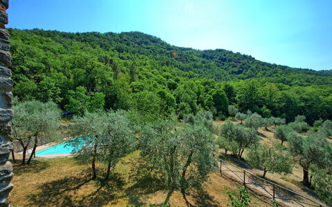 Poggio Conca: Vegetación, Naturaleza, Desierto, Reserva Natural, Entorno Natural, Accidentes Geográficos Montañosas, Árbol, Montaña, Biome, Hill Station