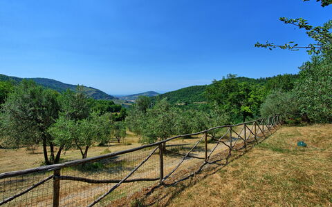 Poggio Conca: Naturaleza, Cielo, Entorno Natural, Paisaje Natural, Árbol, Desierto, Montaña, Reserva Natural, Área Rural, Hill Station