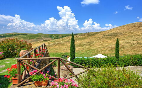 Castelmuzio: Naturaleza, Paisaje Natural, Vegetación, Cielo, Nube, Montaña, Pradera, Entorno Natural, Desierto, Hierba