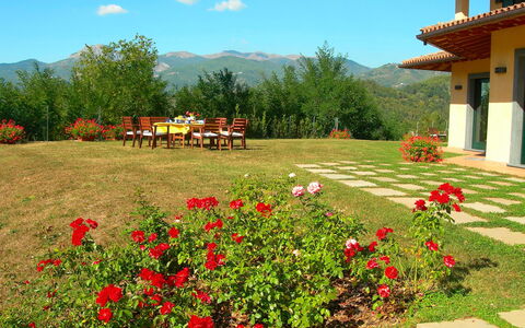 Villa Saida: Paisaje Natural, Jardín, Flor, Propiedad, Jardín Botánico, Yarda, Planta, Botánica, Primavera, Desierto