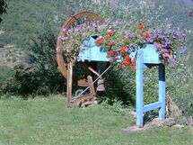 La Noce Di Francesca