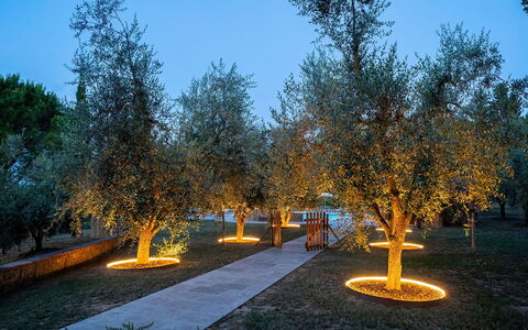 Montelopio: Cielo, Planta, Superficie De La Carretera, Paisaje Natural, Rama, Alerce, Hierba, Árbol, Asfalto, Espacio Publico
