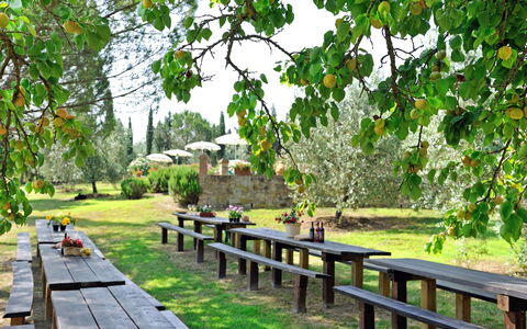 Montelopio: Naturaleza, Reserva Natural, Árbol, Paisaje Natural, Botánica, Pasarela, Hierba, Jardín, Planta, Primavera