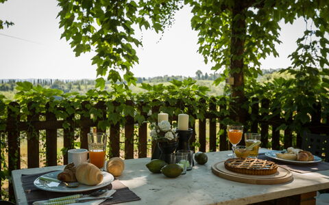 Montelopio: Mesa, Árbol, Planta, Desayuno Tardío, Diseño De Interiores, Planta De Casa, Desayuno, Mueble, Linos, Comer Con Los Dedos