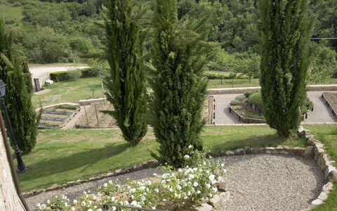 La Maccinaia 14: Árbol, Hierba, Botánica, Jardín, Casa, Arquitectura, Paisaje, Paisajismo, Planta, Edificio