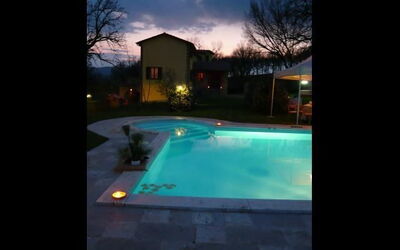 The house with the pool 