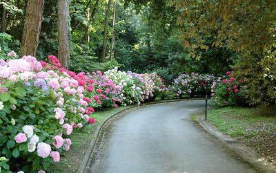 Tenuta Villa La Chiusa Schnautzer