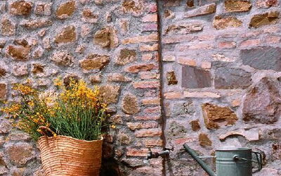 Alojamiento:&nbsp;Sant'antimo