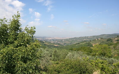 Alojamiento:&nbsp;San Romolo 1