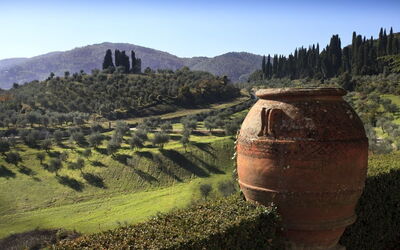 Panoramic view of the estate