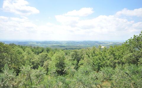 Podere Orietta: Vegetación, Shrubland, Entorno Natural, Reserva Natural, Planta De La Comunidad, Desierto, Árbol, Biome, Cielo, Los Bosques De Coníferas Tropicales Y Subtropicales