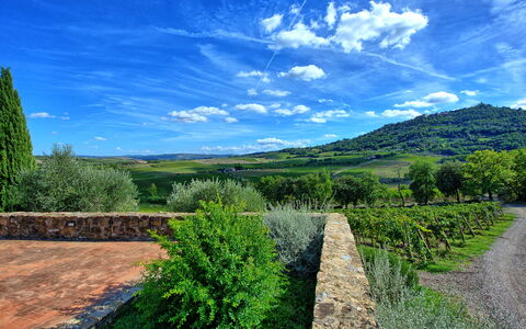 Brunello: Nube, Planta, Cielo, Verde, Paisaje Natural, Hierba, El Terreno Del Lote, Árbol, Cúmulo, Pradera