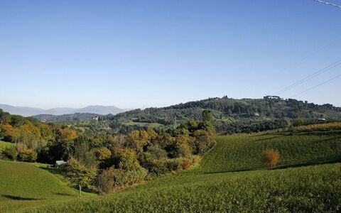 La Selva: Paisaje Natural, Colina, Naturaleza, Accidentes Geográficos Montañosas, Cielo, Pradera, Vegetación, Campo, Tierras Altas, Entorno Natural