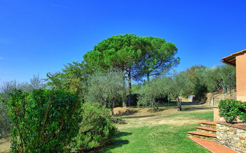 La Selva: Naturaleza, Verde, Paisaje Natural, Árbol, Propiedad, Vegetación, Cielo, Hierba, Jardín, Bienes Raíces