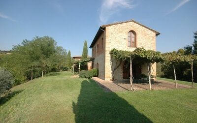 Lavanda - Montefoscoli, Toscana, Italia - Lavanda 1