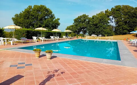 Fattoria le Chianacce: Agua, Cielo, Planta, Edificio, Piscina, Azur, Árbol, Mueble Para Exteriores, Nube, Silla