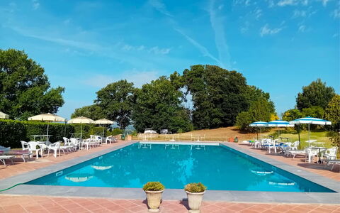 Fattoria le Chianacce: Agua, Cielo, Planta, Nube, Piscina, Edificio, Azur, Árbol, Mueble Para Exteriores, Sombra